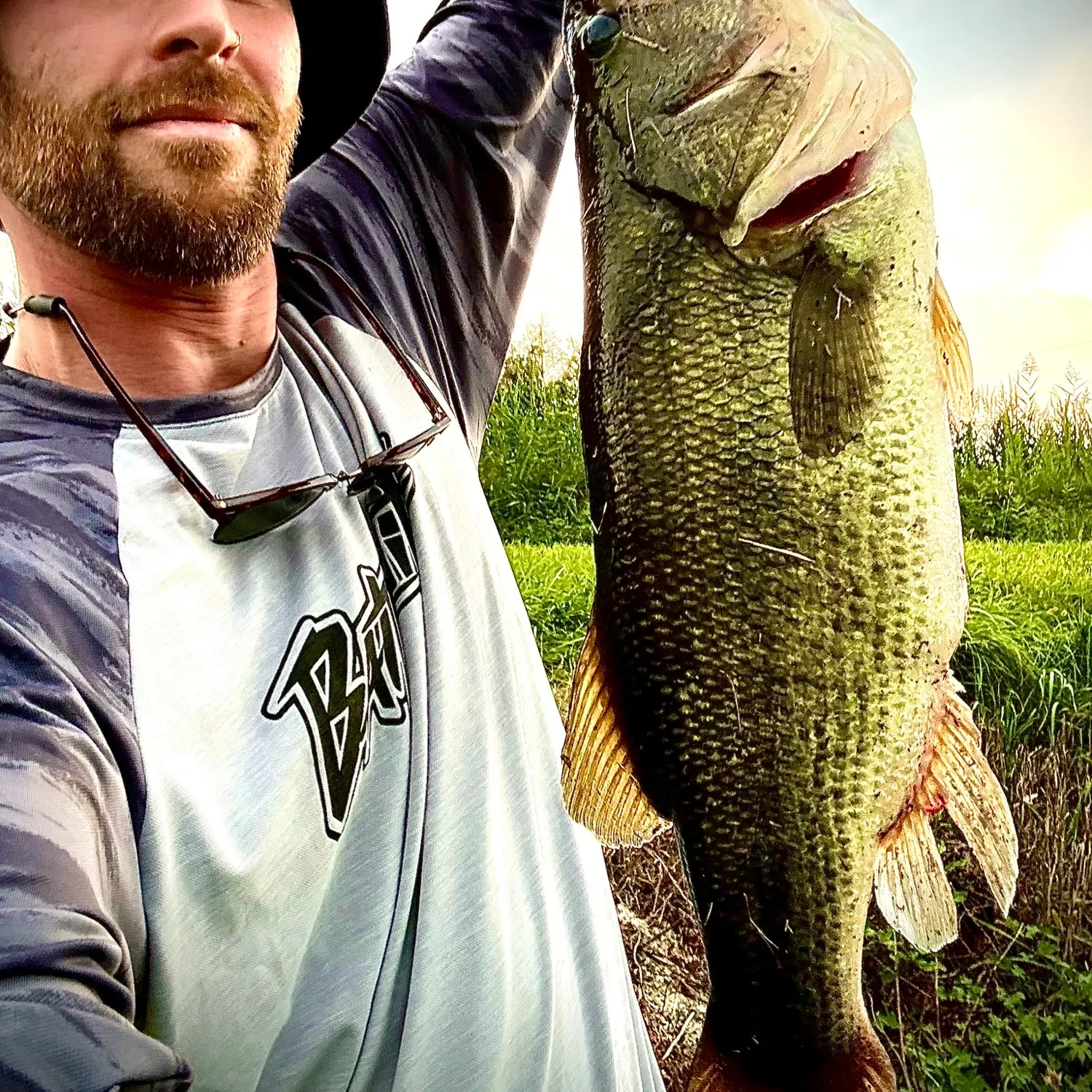 Largemouth bass caught on Fishbrain