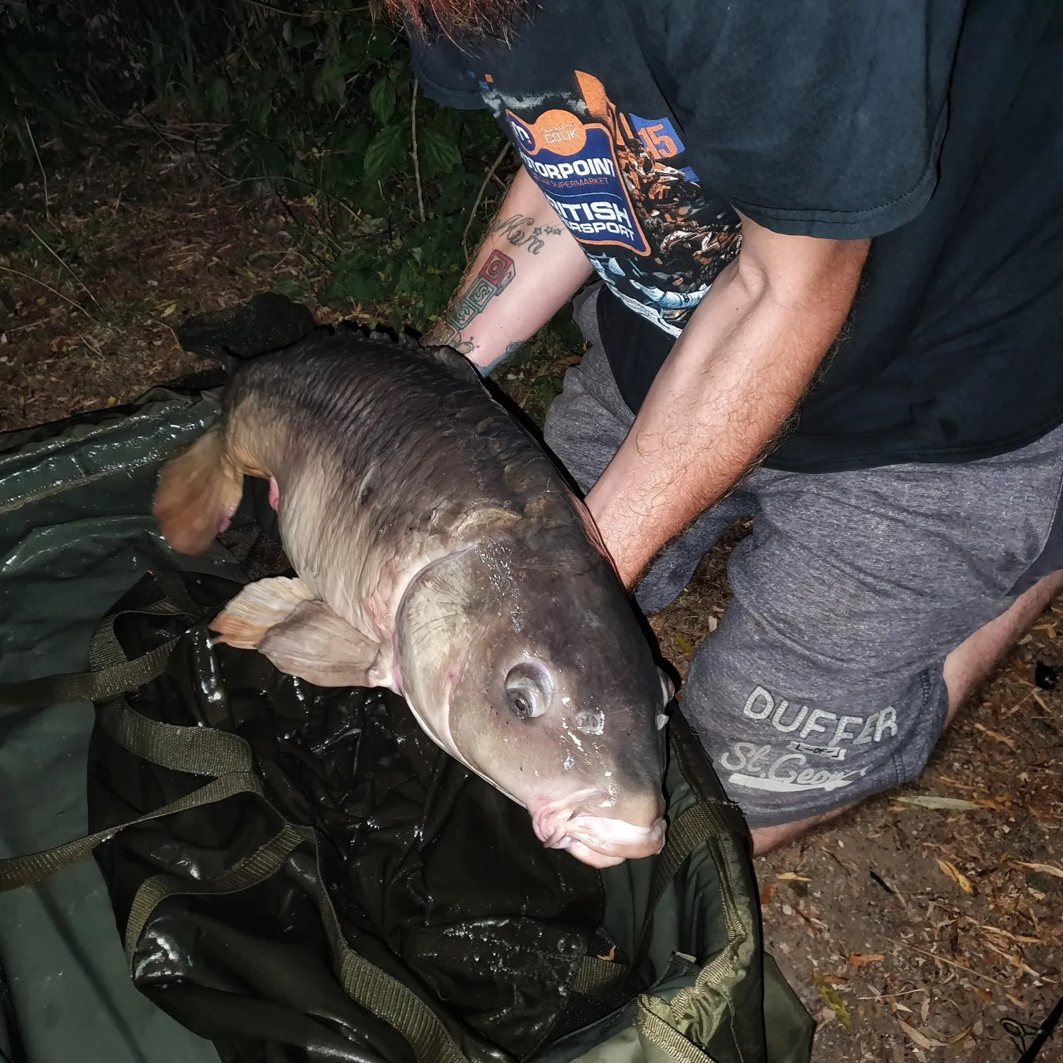 recently logged catches