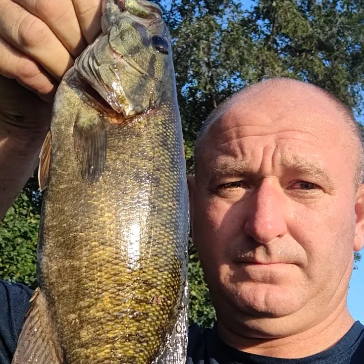 Smallmouth bass caught on Fishbrain