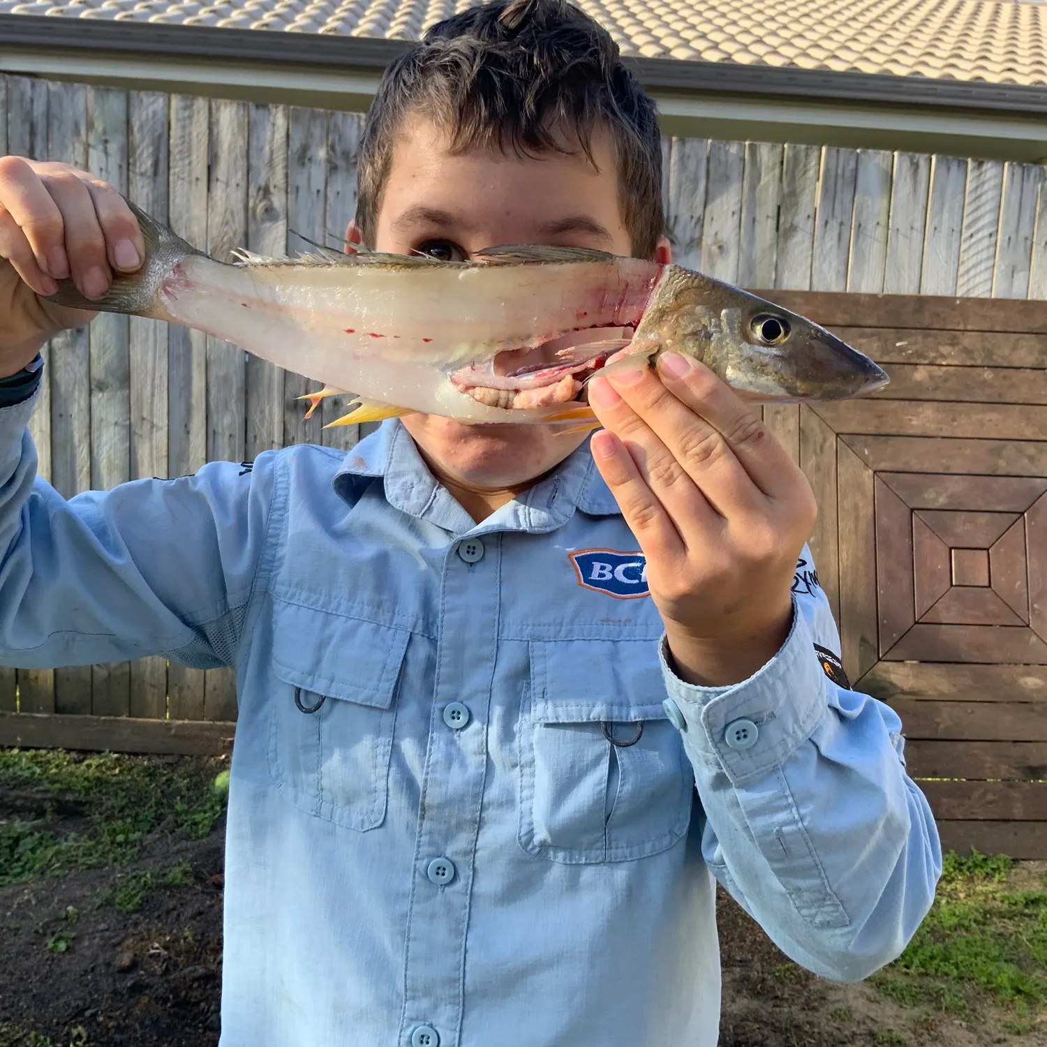 most liked catch image