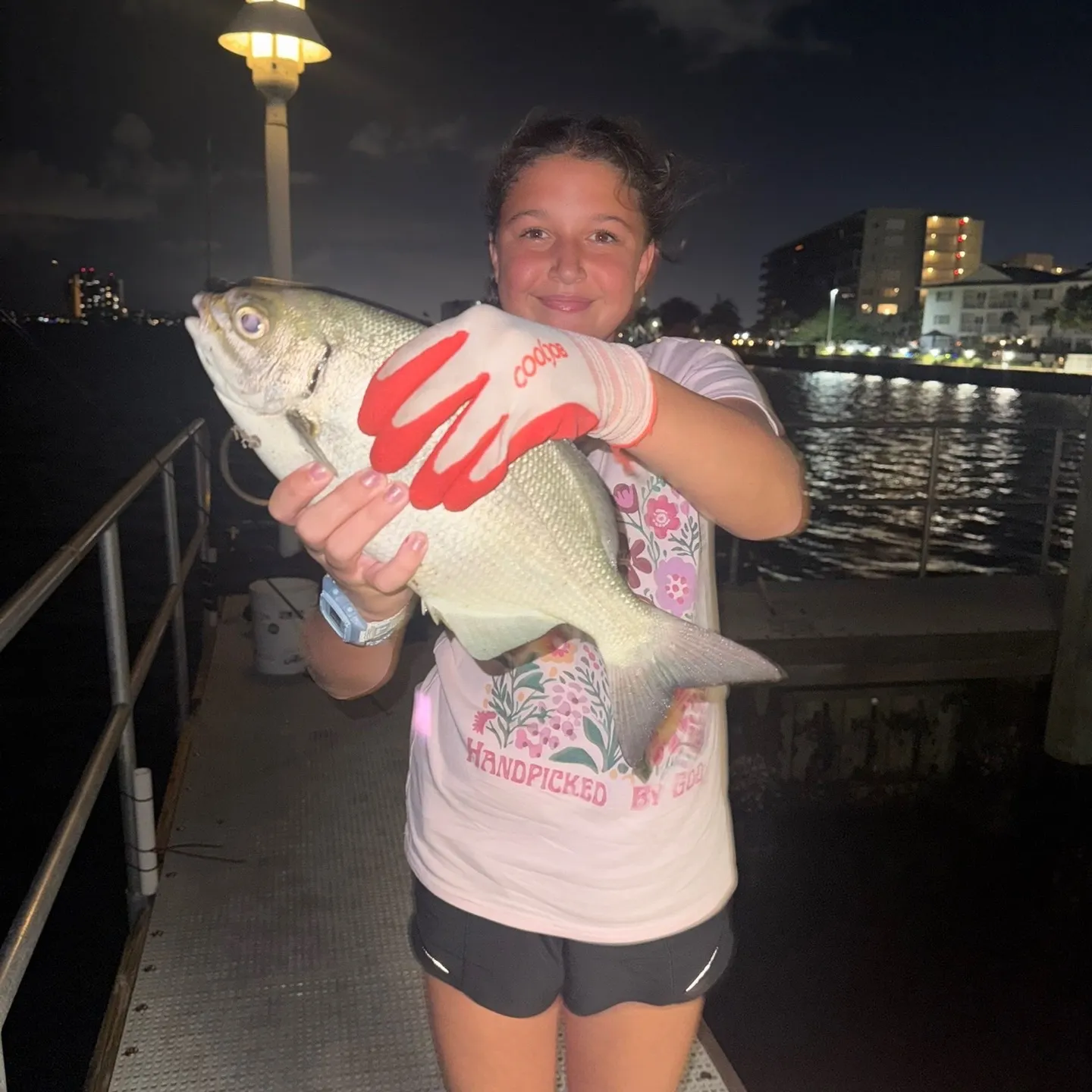 The most recent Bermuda sea chub catches on Fishbrain