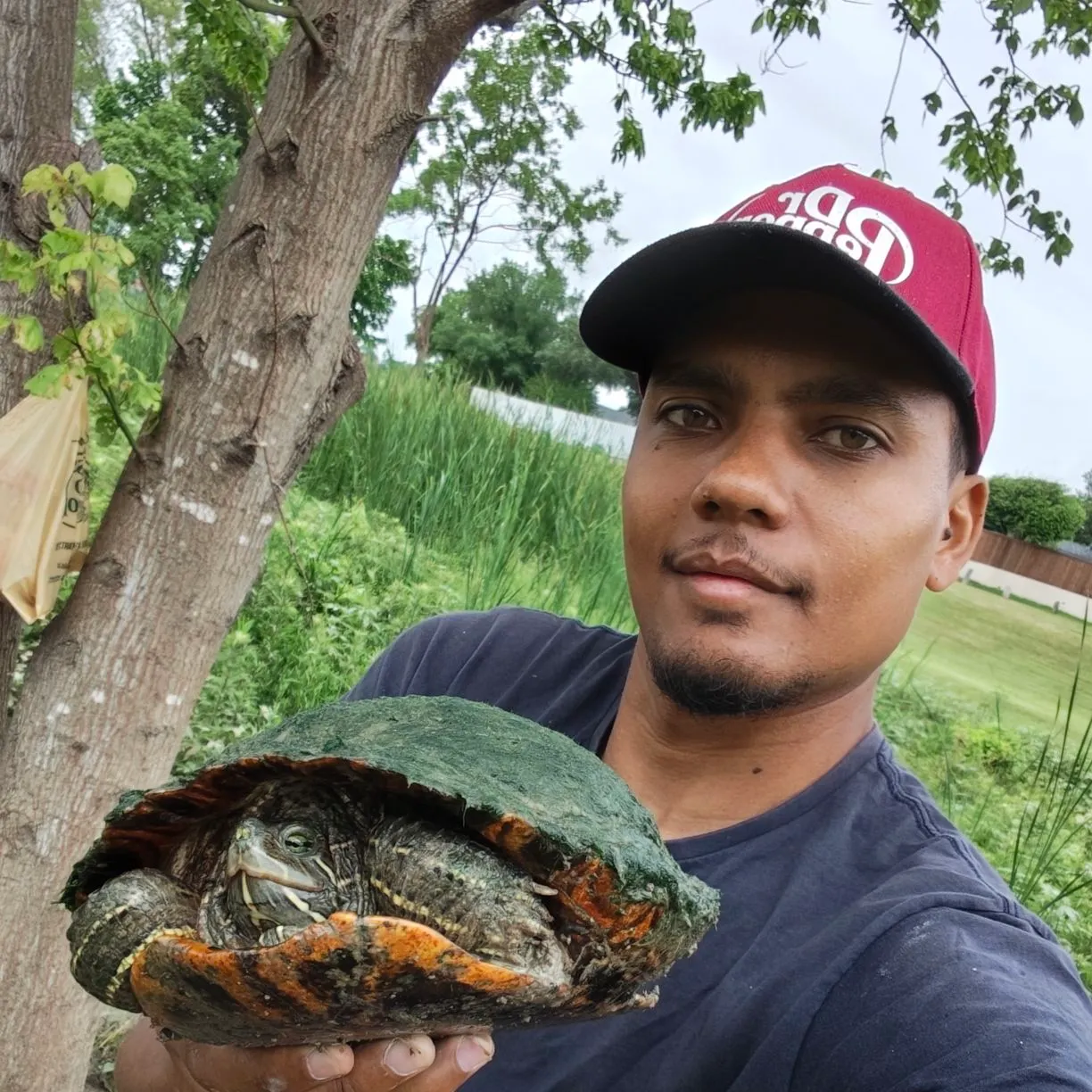 The most recent Common snapping turtle catches on Fishbrain