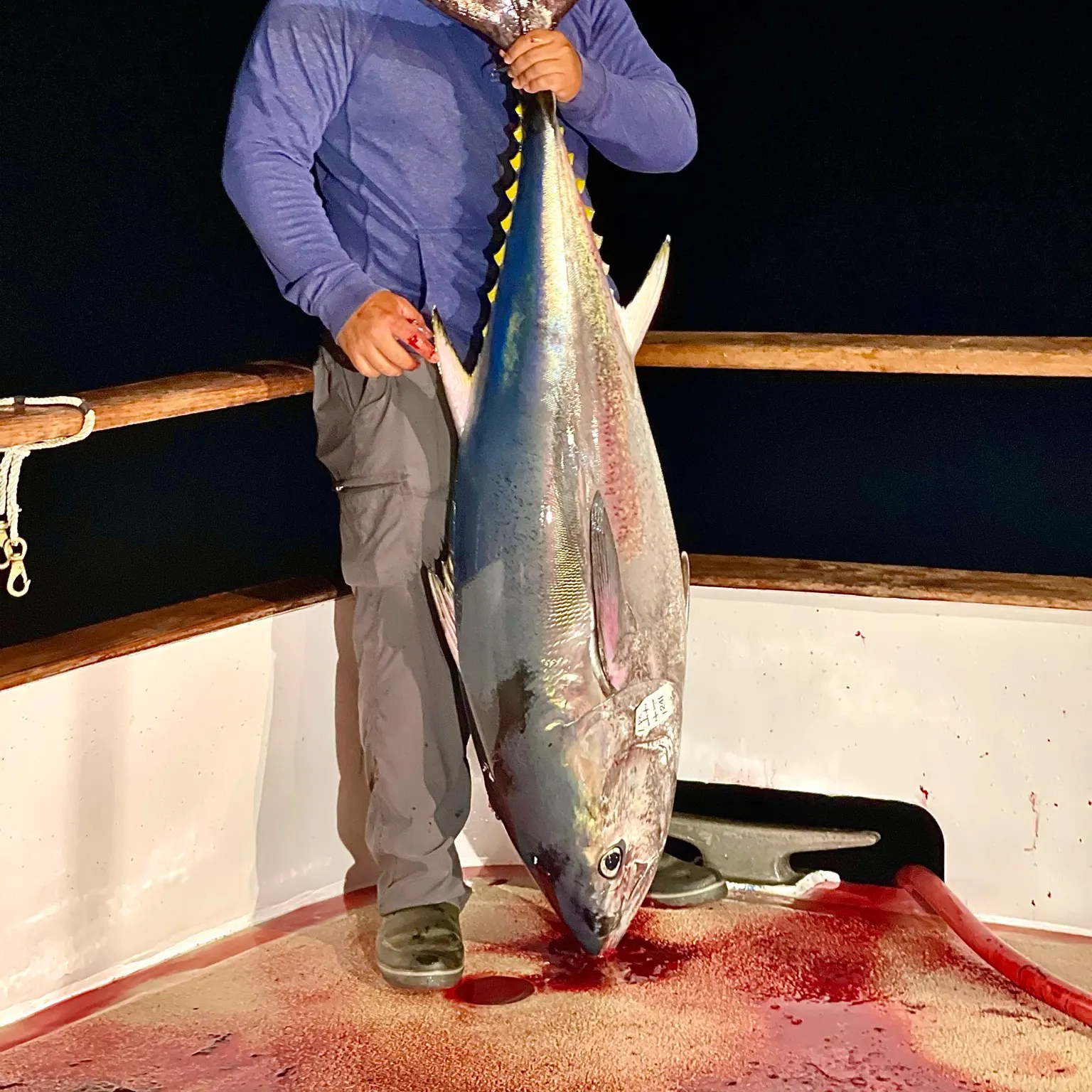 The most recent Pacific bluefin tuna catches on Fishbrain