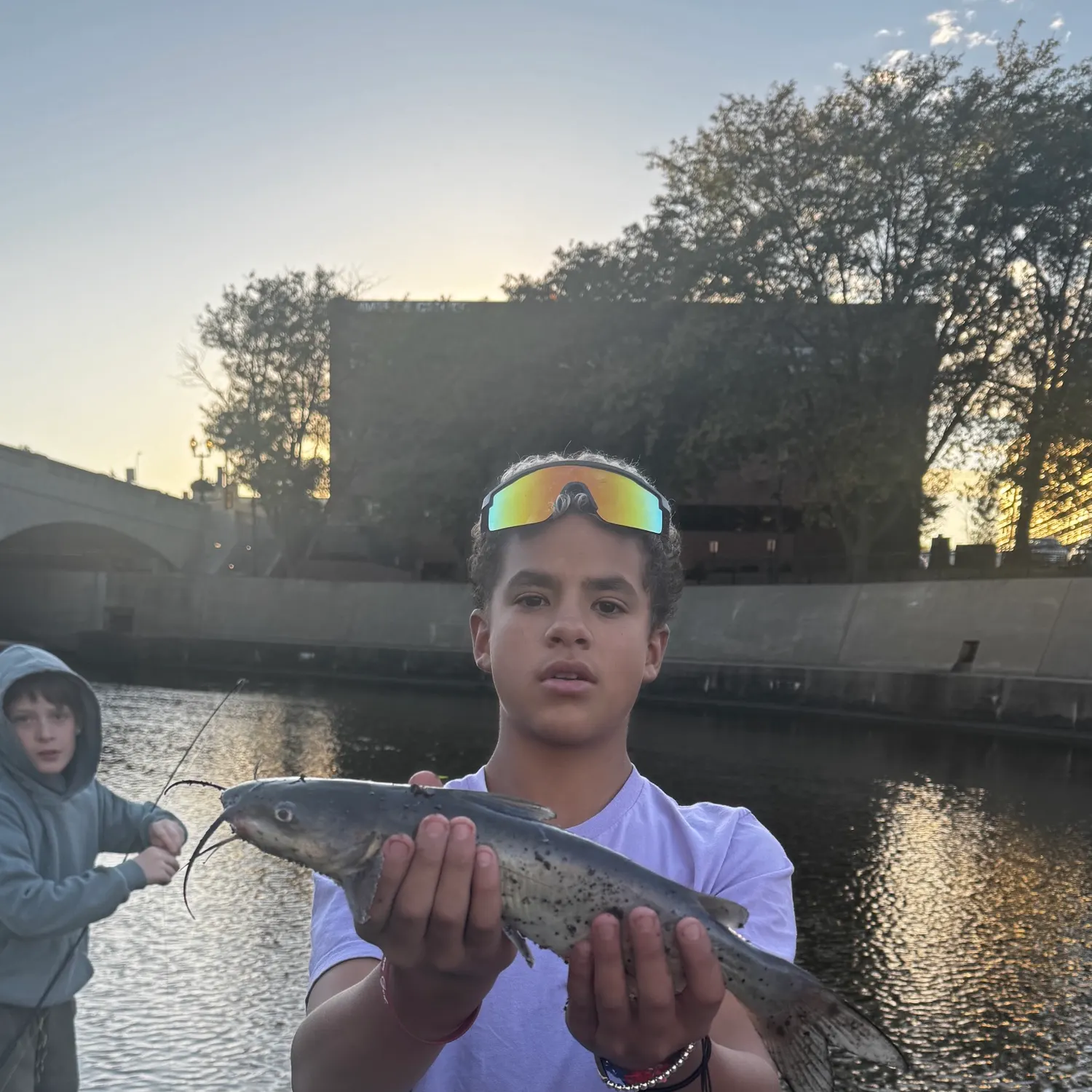 Channel catfish caught on Fishbrain