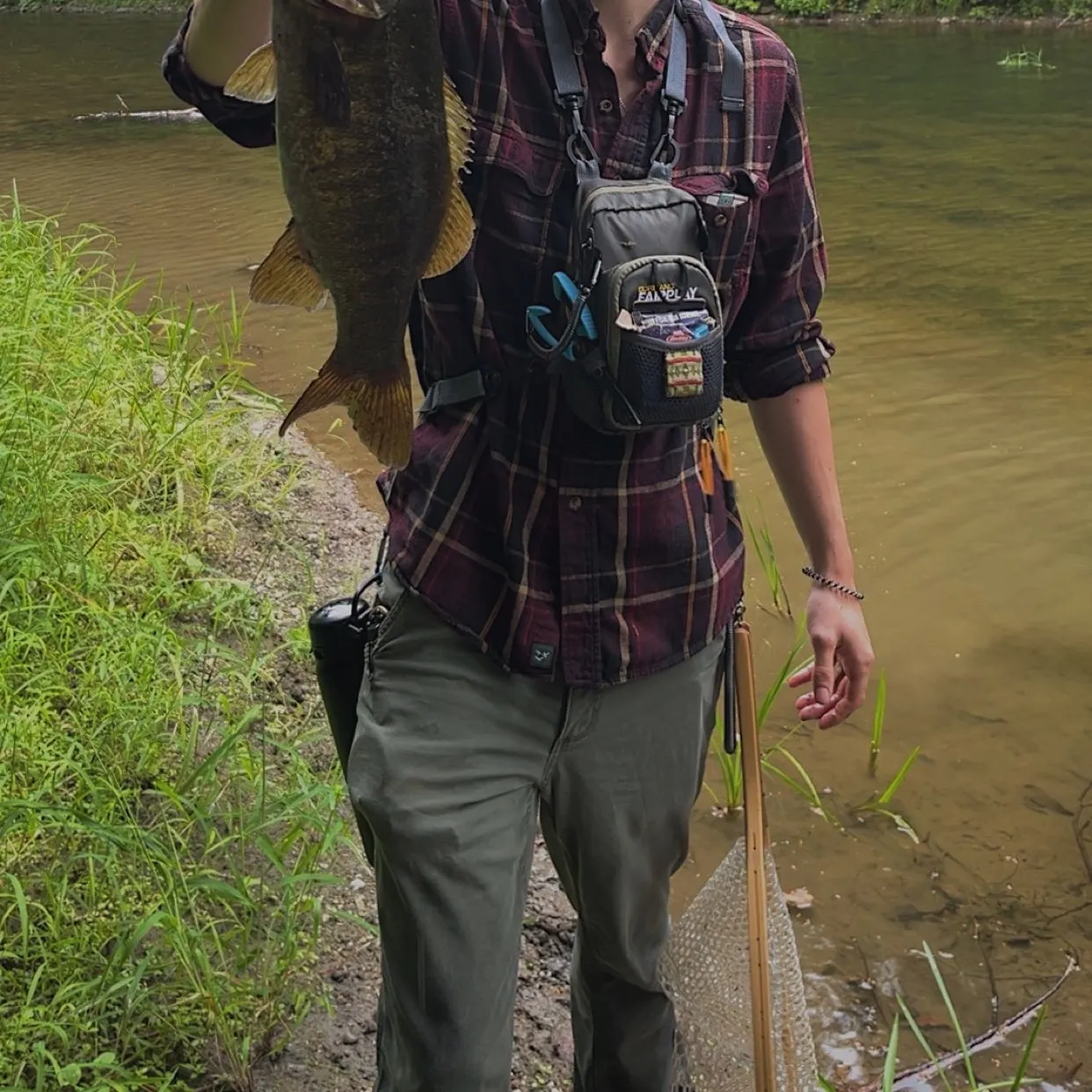 Smallmouth bass caught on Fishbrain