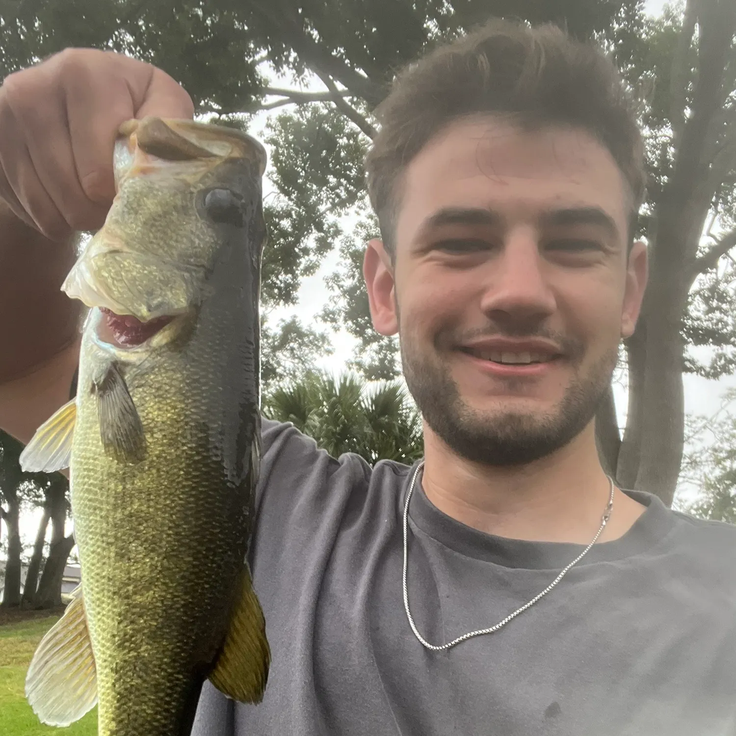 The most recent Florida bass catches on Fishbrain