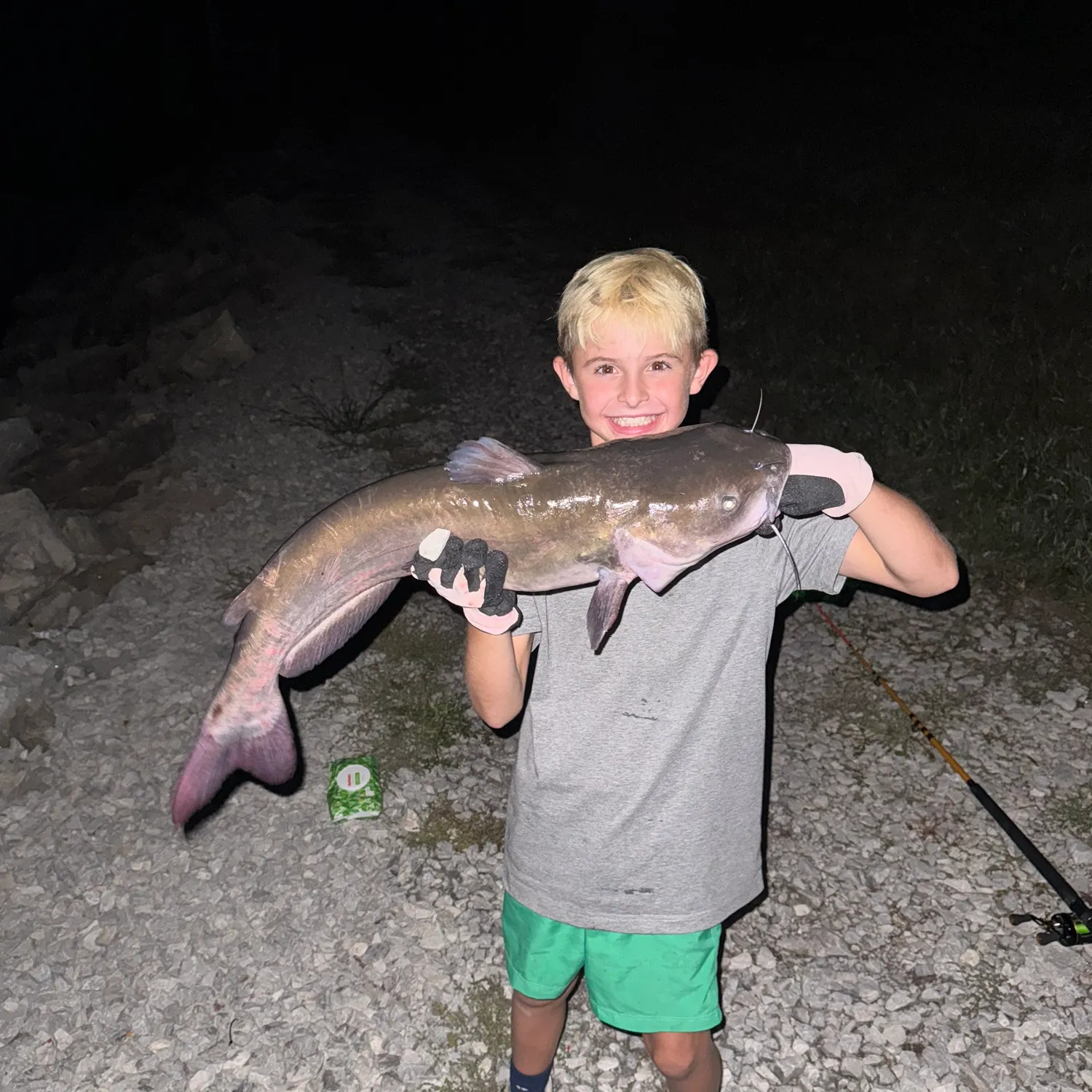 Channel catfish caught on Fishbrain