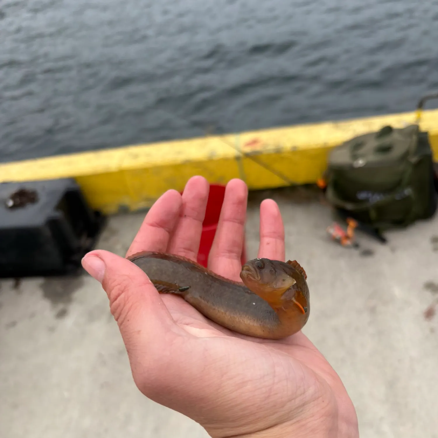 catch
