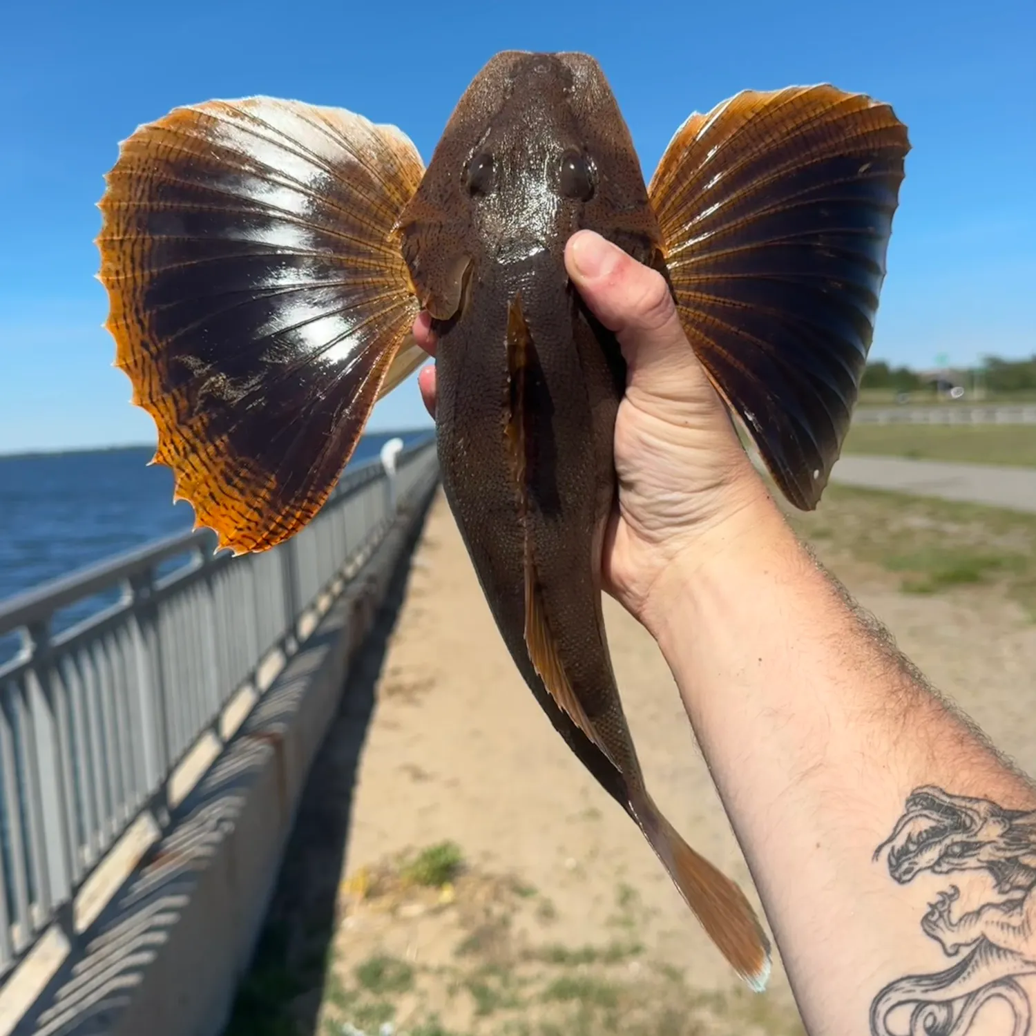 catch