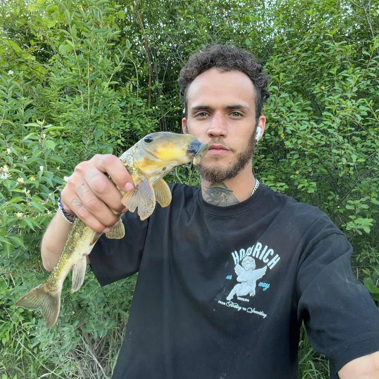 The most recent Northern hogsucker catches on Fishbrain