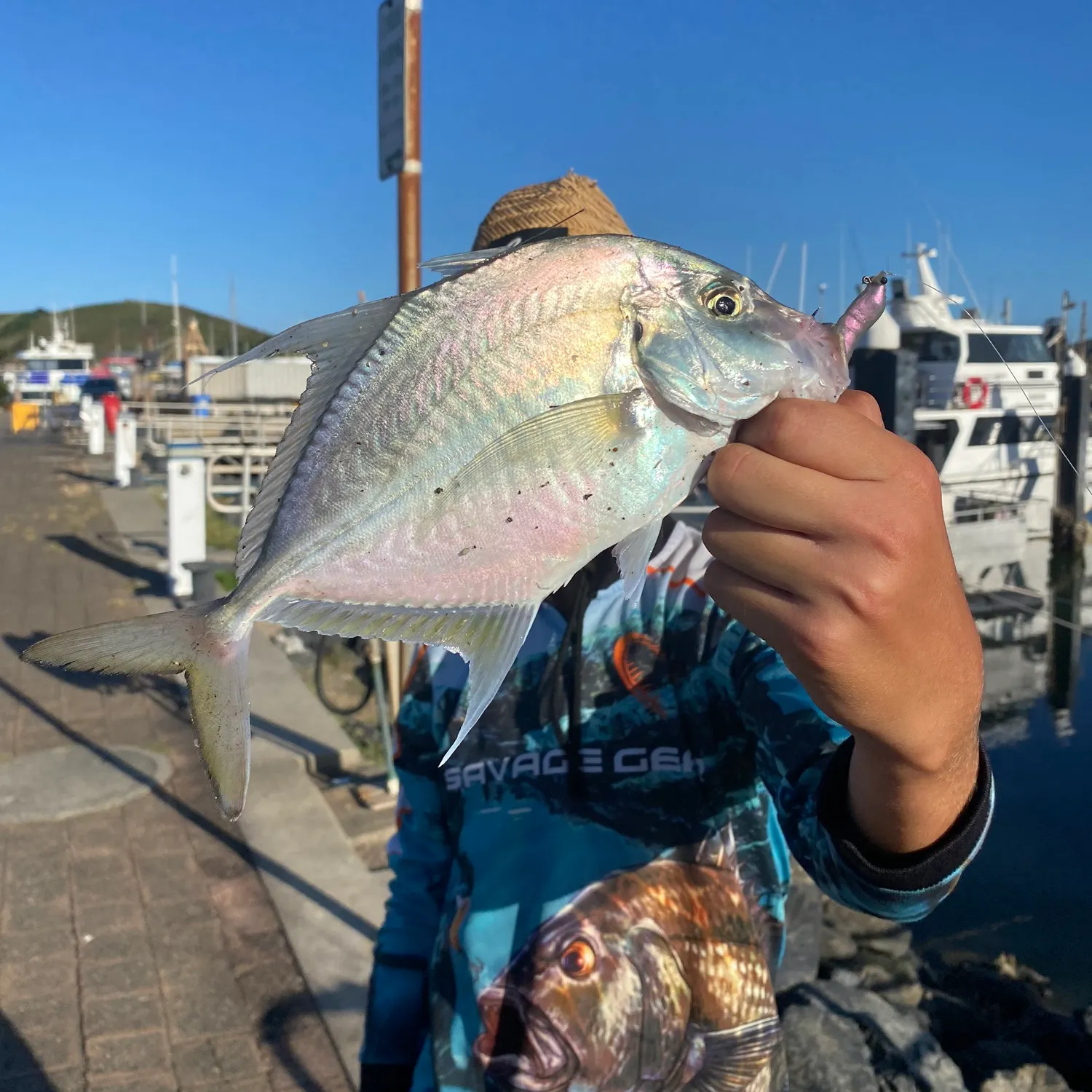The most recent Longnose trevally catches on Fishbrain
