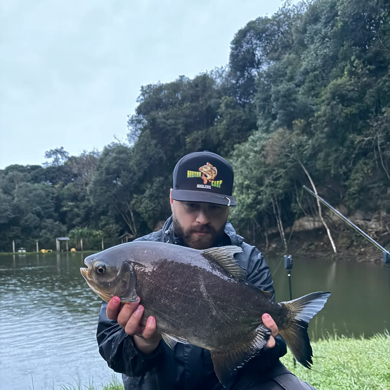 The most recent Black pacu catches on Fishbrain