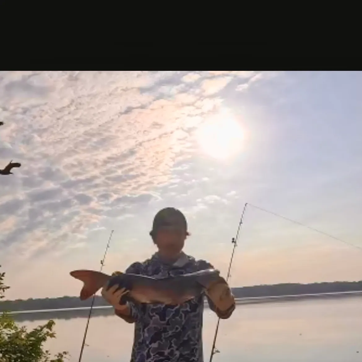 Channel catfish caught on Fishbrain