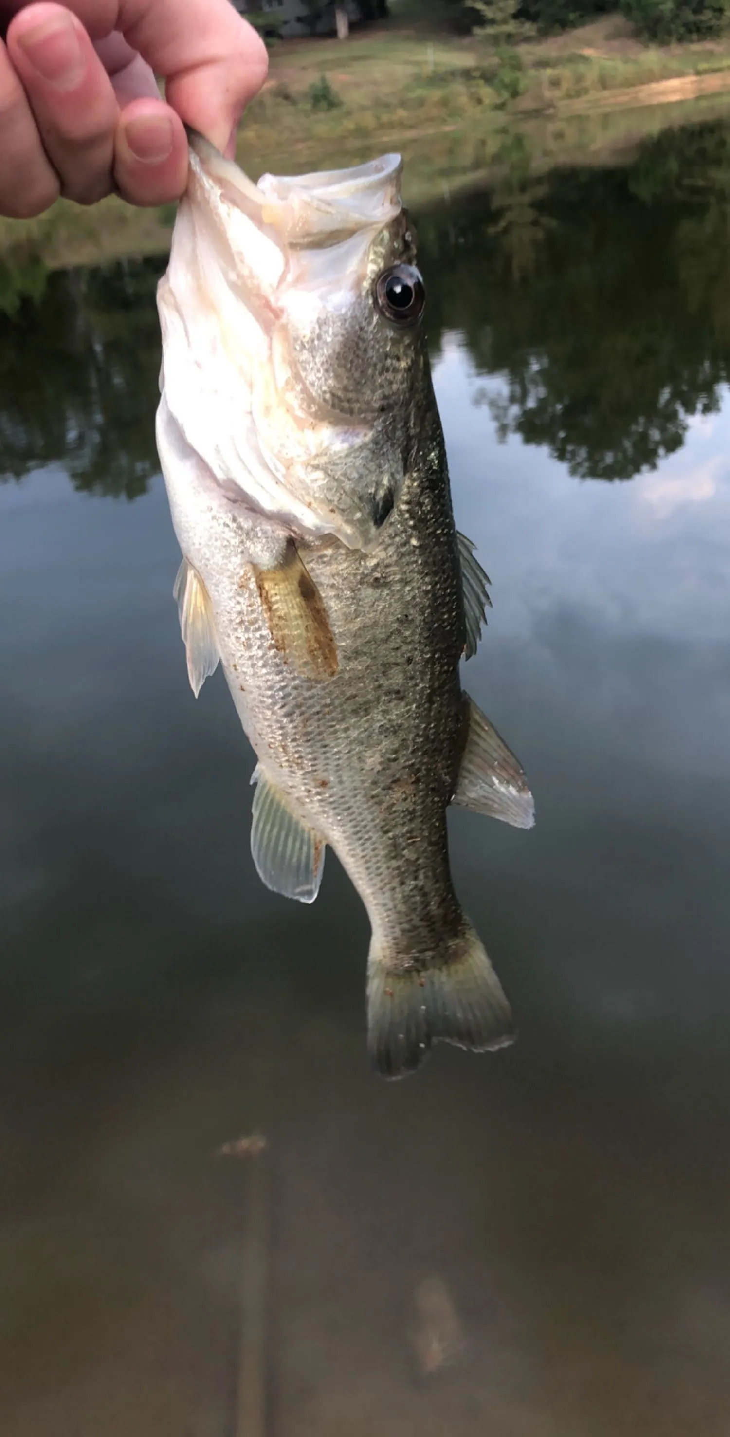 Post image from jacksawyer