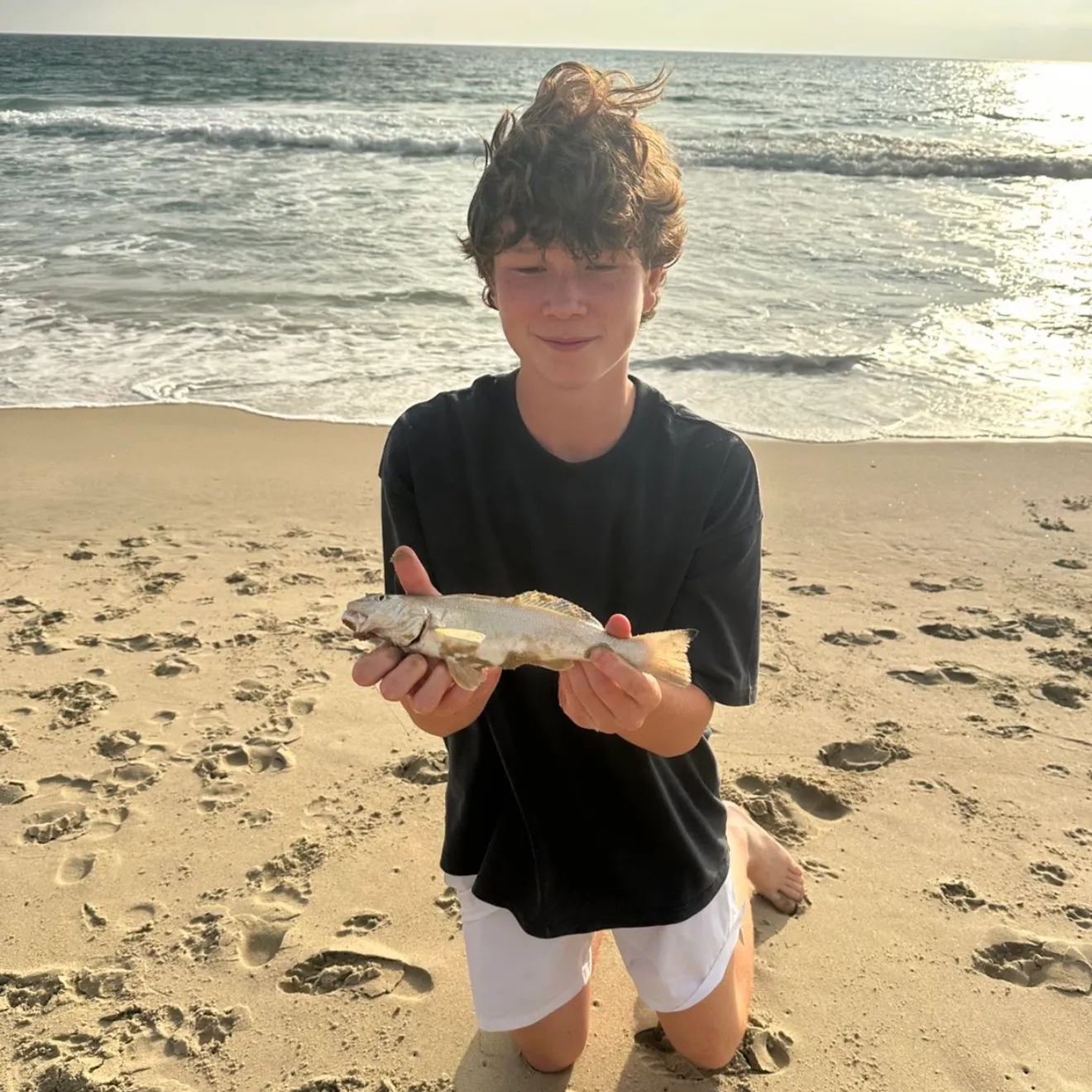 The most recent Whiting catches on Fishbrain