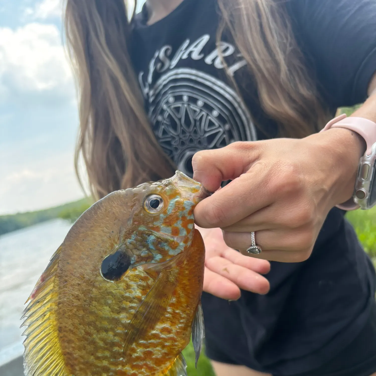 recently logged catches