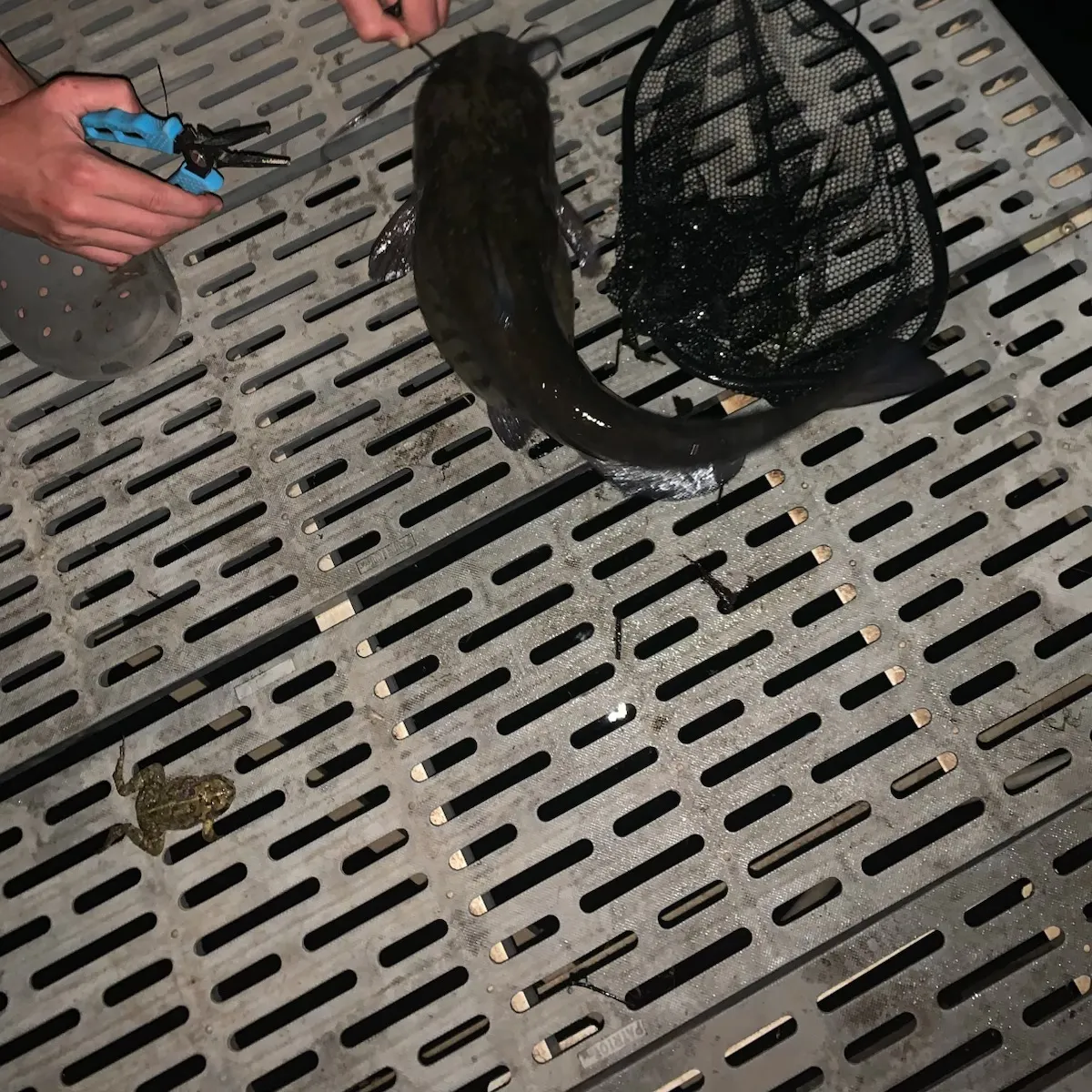 catch