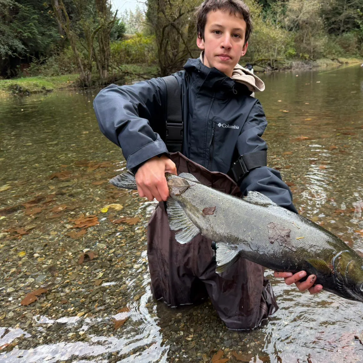 Chinook salmon caught on Fishbrain