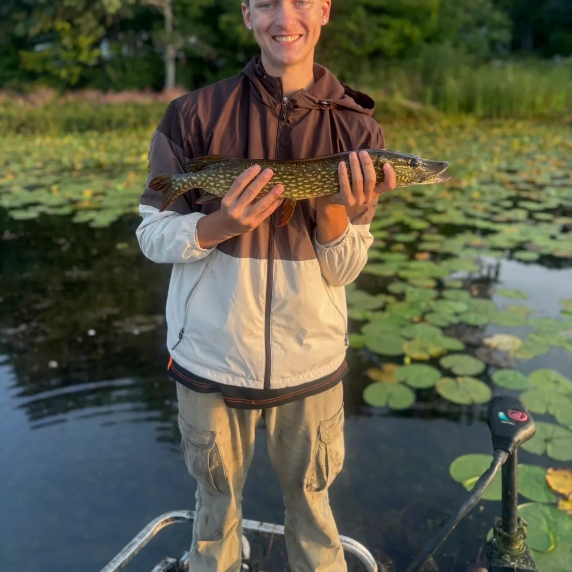 Northern pike caught on Fishbrain