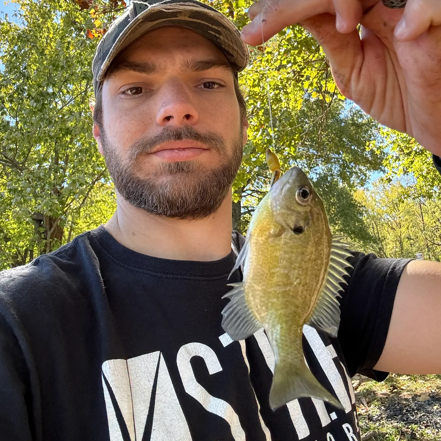 Bluegill caught on Fishbrain