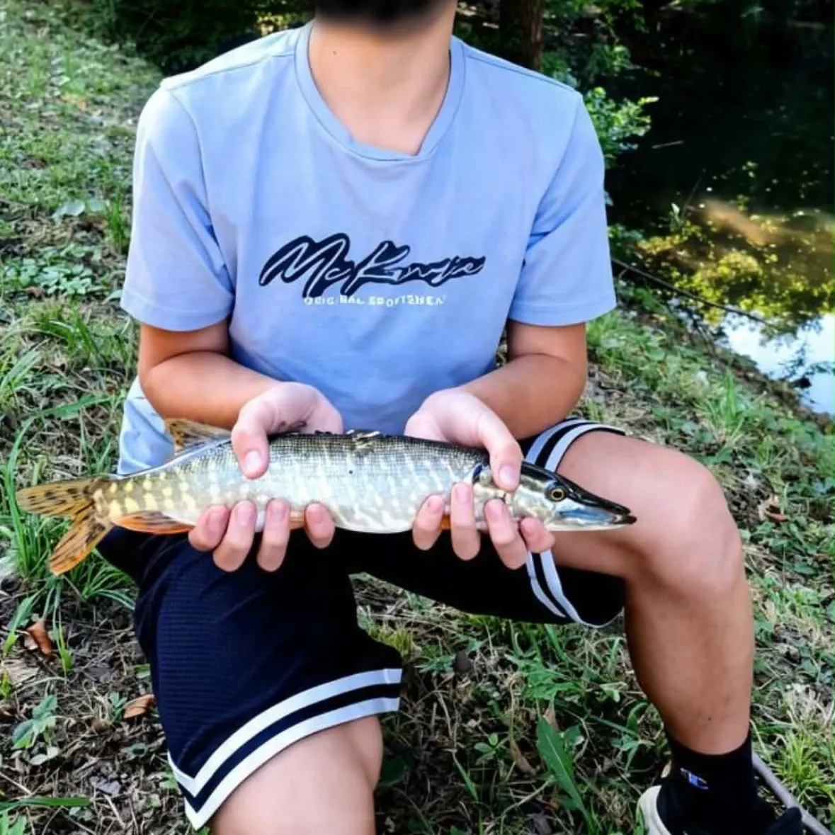 Northern pike caught on Fishbrain