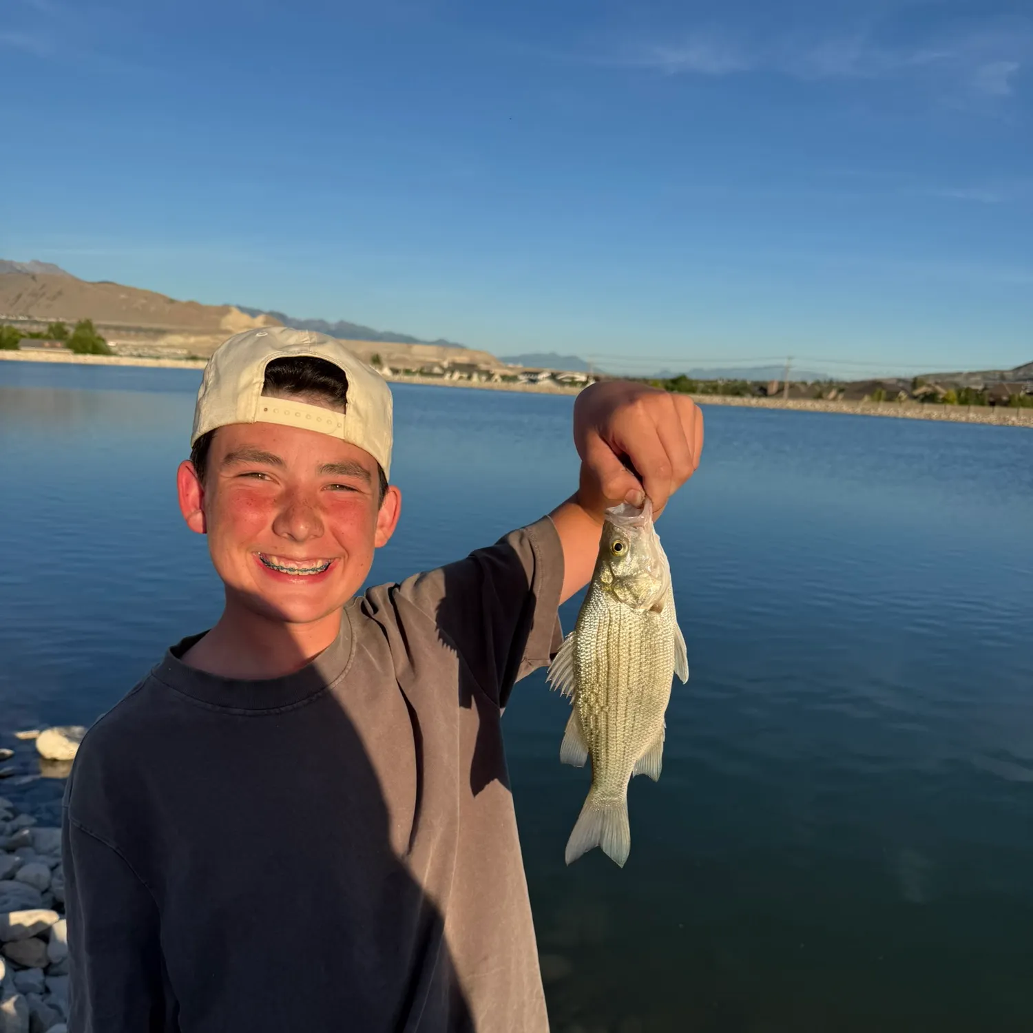 The most recent White bass catches on Fishbrain