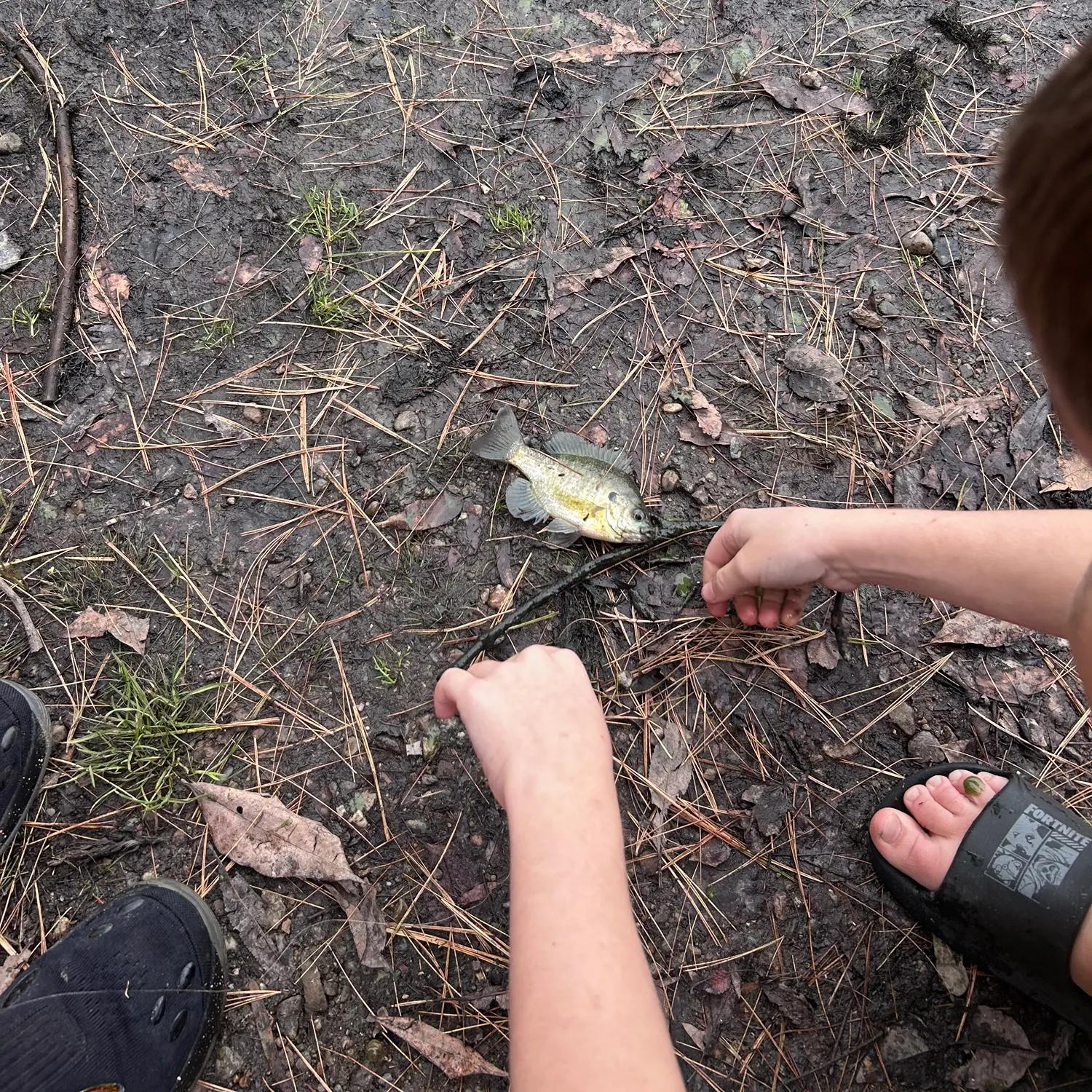 catch