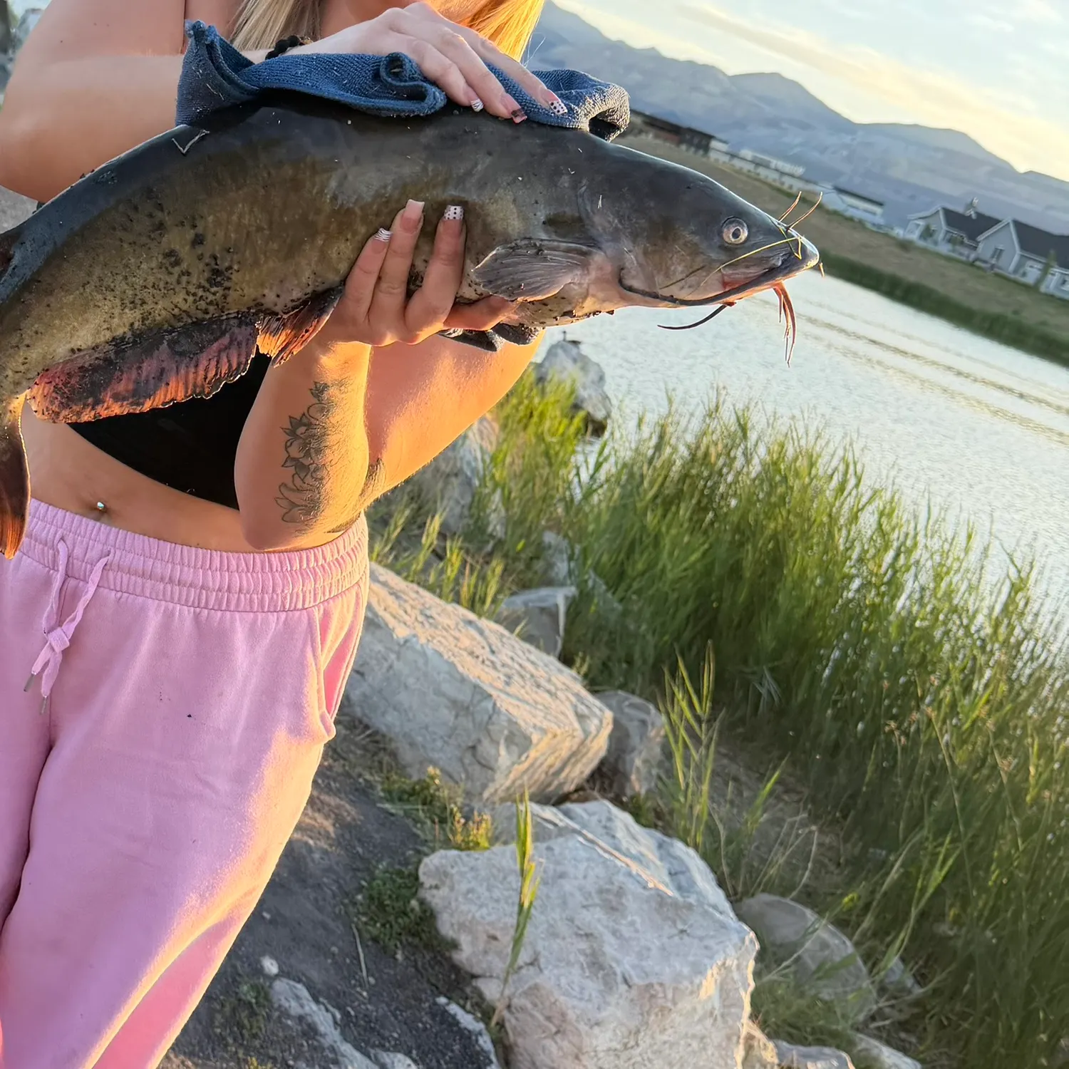 catch