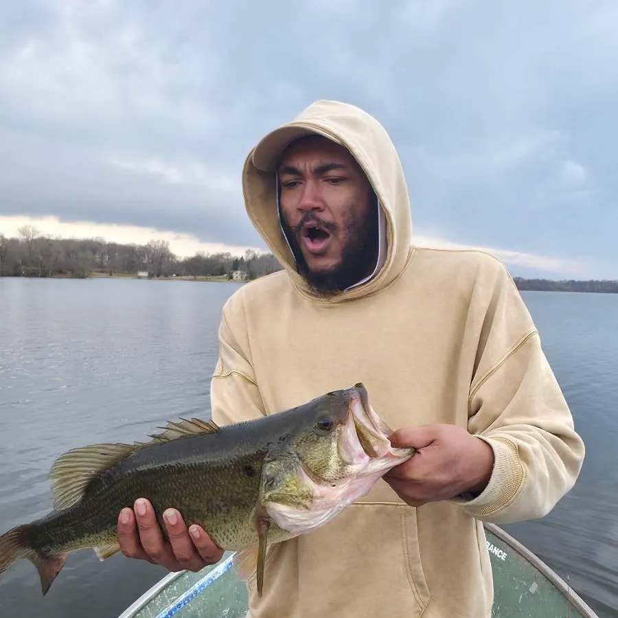 Largemouth bass caught on Fishbrain