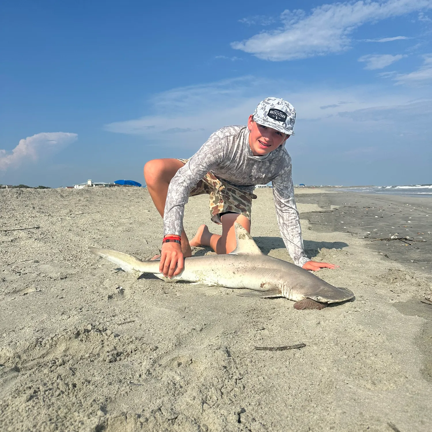 Scalloped hammerhead shark caught on Fishbrain