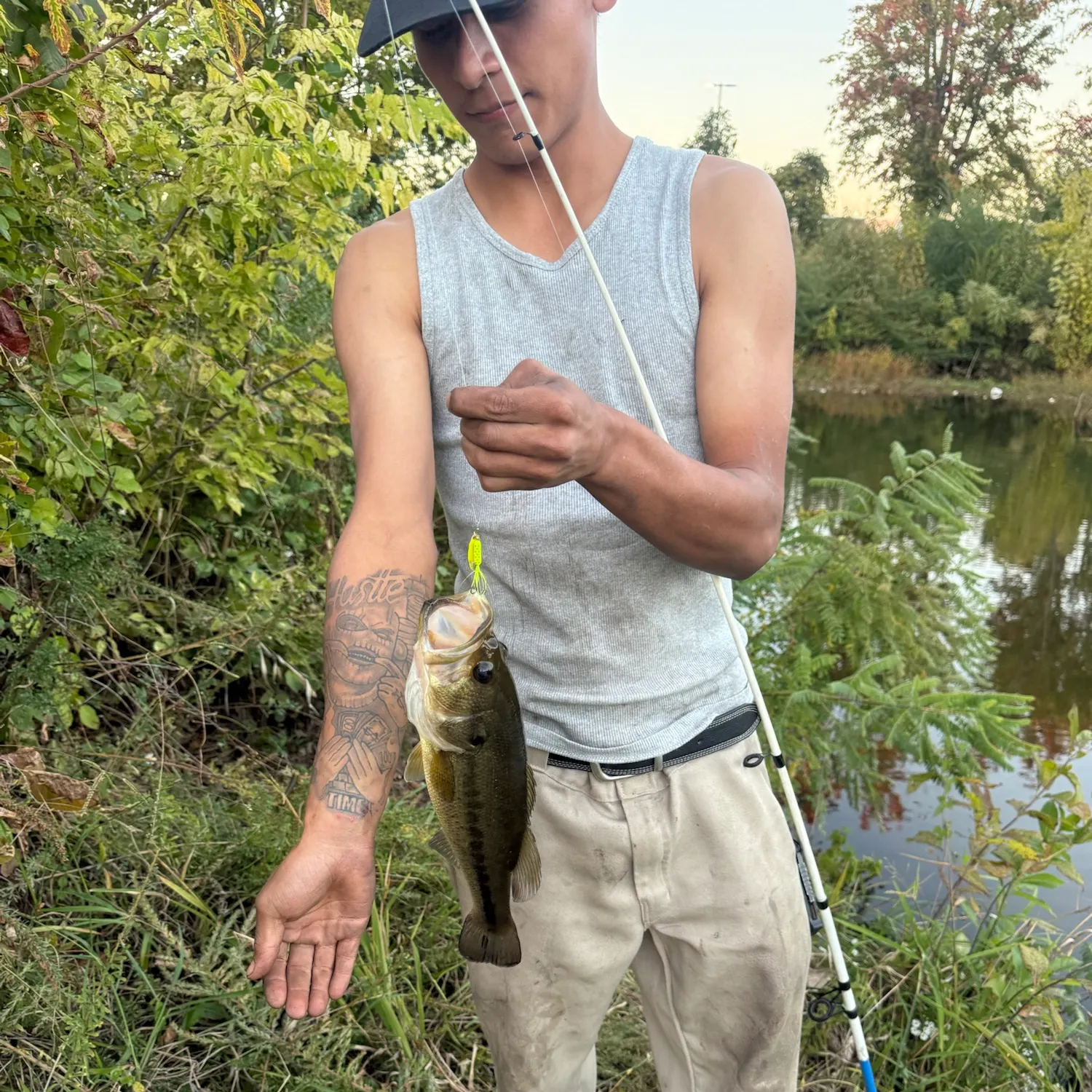 Largemouth bass caught on Fishbrain