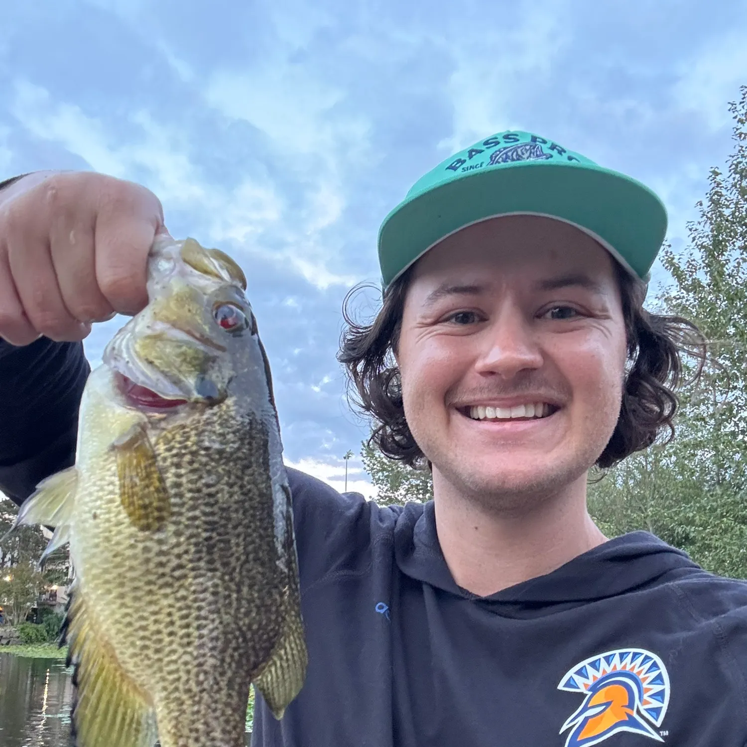 Rock bass caught on Fishbrain