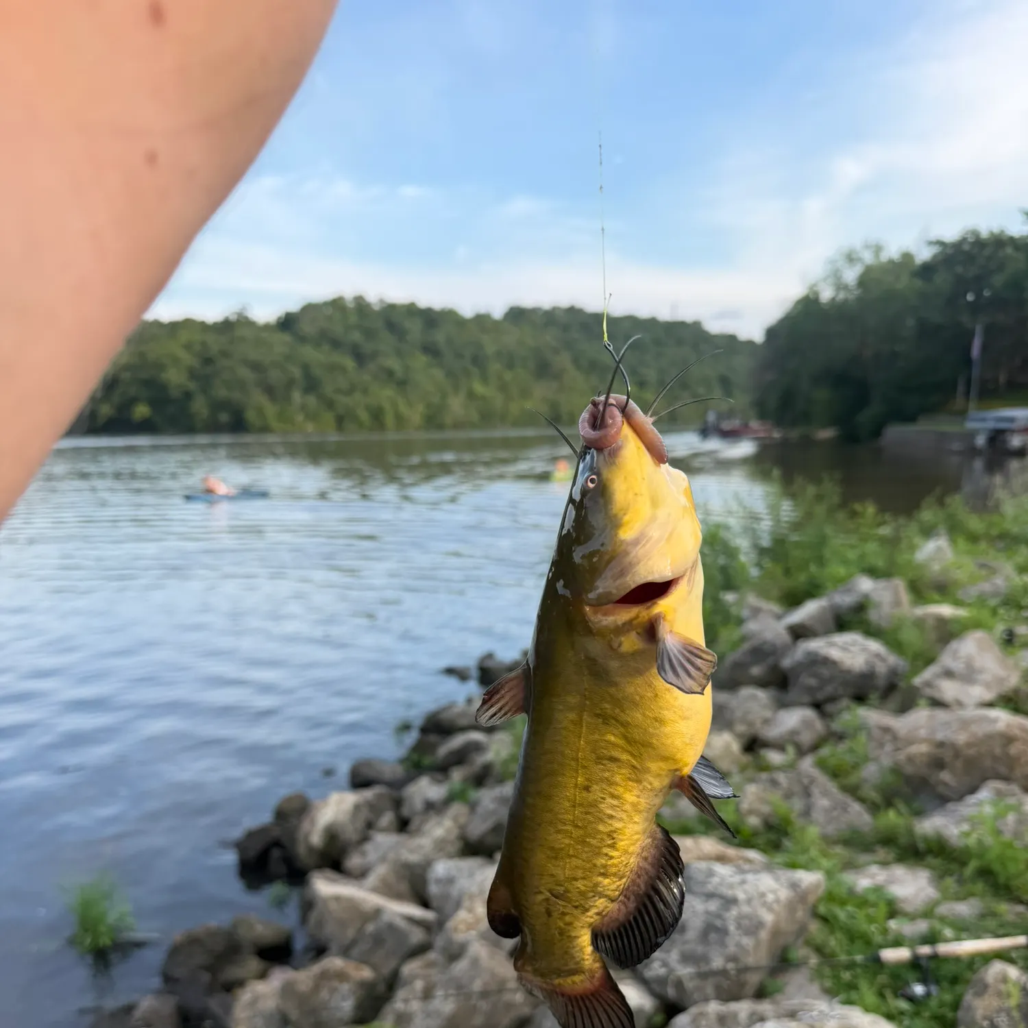 catch