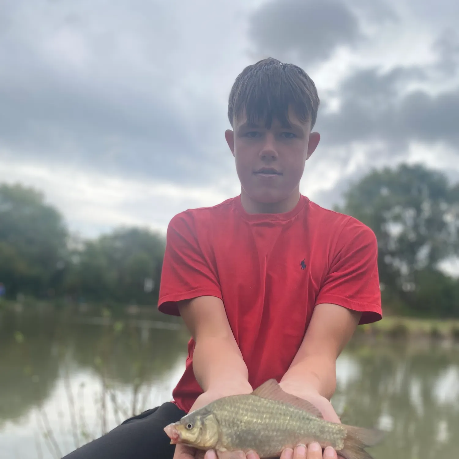 The most recent Crucian carp catches on Fishbrain