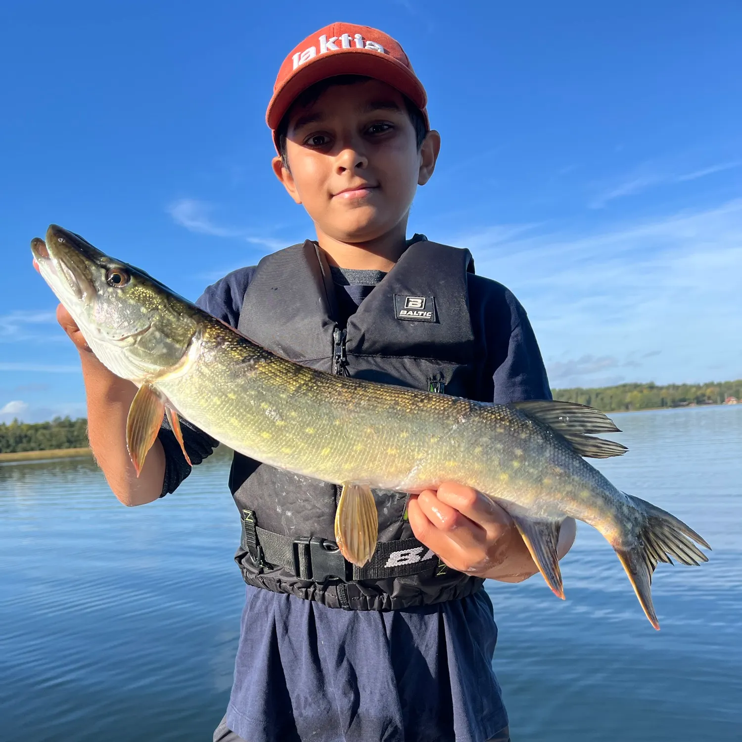 Northern pike caught on Fishbrain