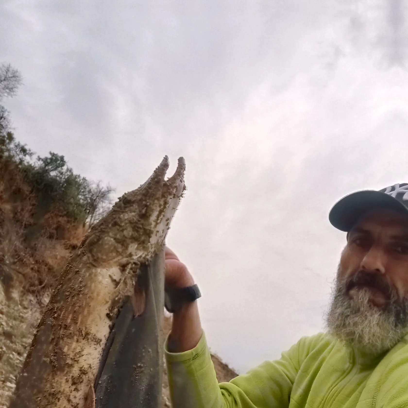 European eel caught on Fishbrain