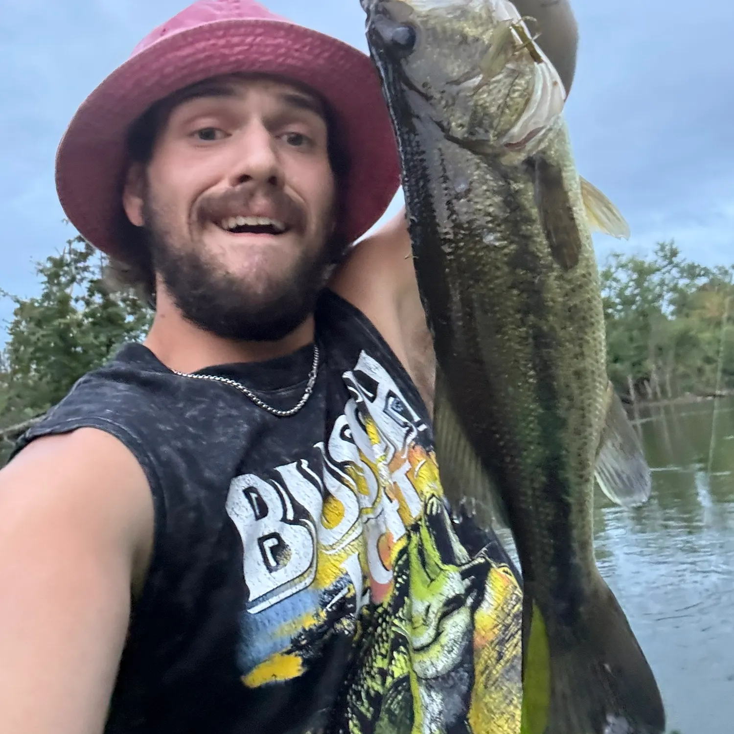 Largemouth bass caught on Fishbrain