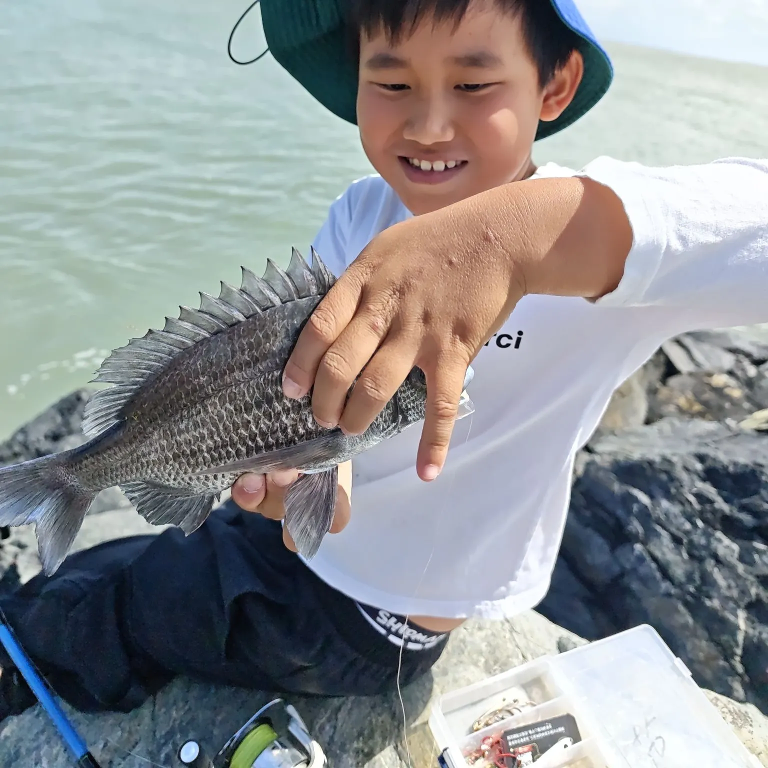 Pacific seabream caught on Fishbrain