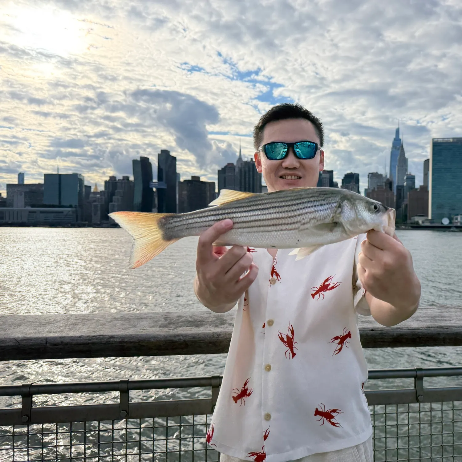 Striped bass caught on Fishbrain