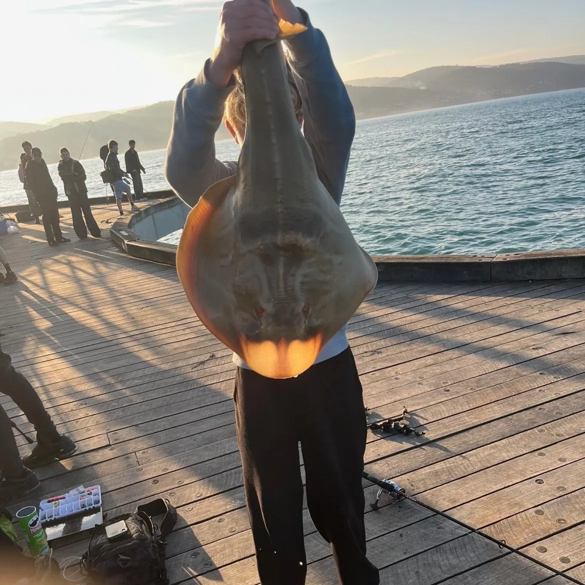 The most recent Southern fiddler catches on Fishbrain