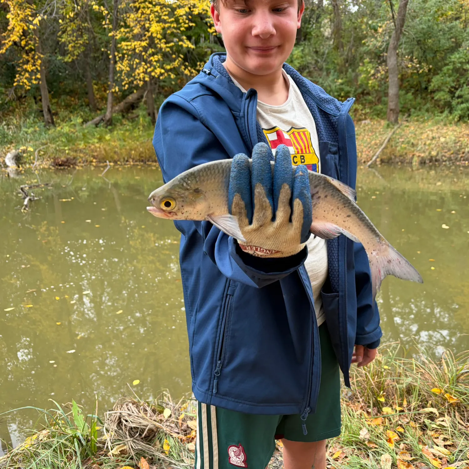 Goldeye caught on Fishbrain
