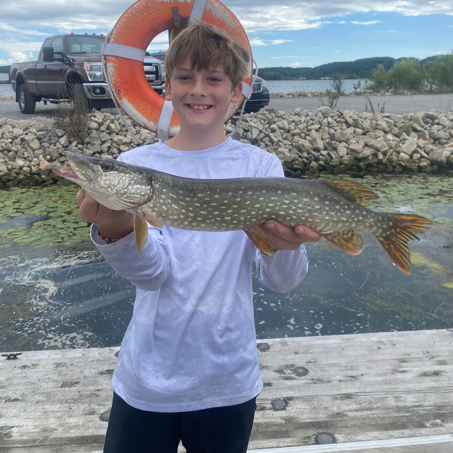 Northern pike caught on Fishbrain