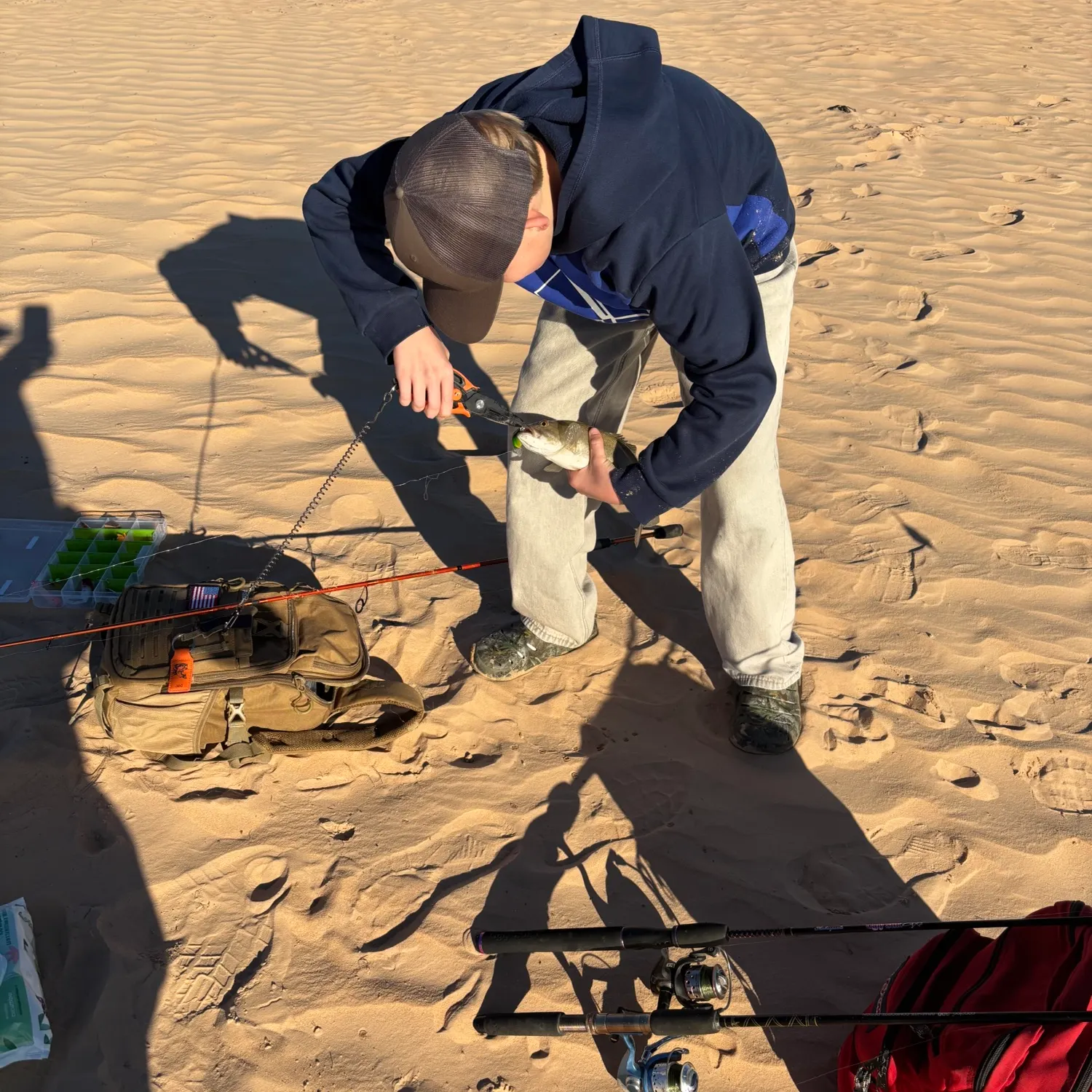 recently logged catches