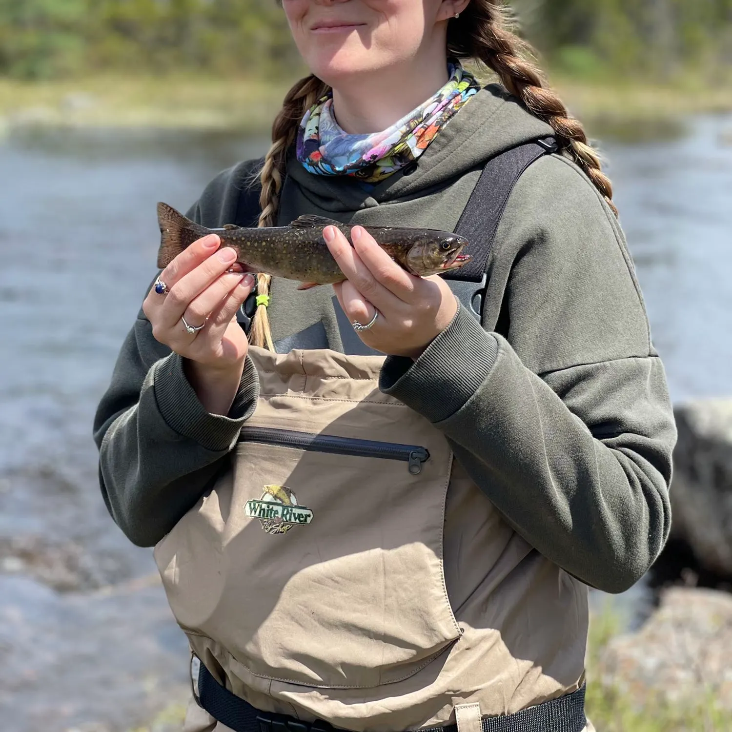 Brook trout caught on Fishbrain