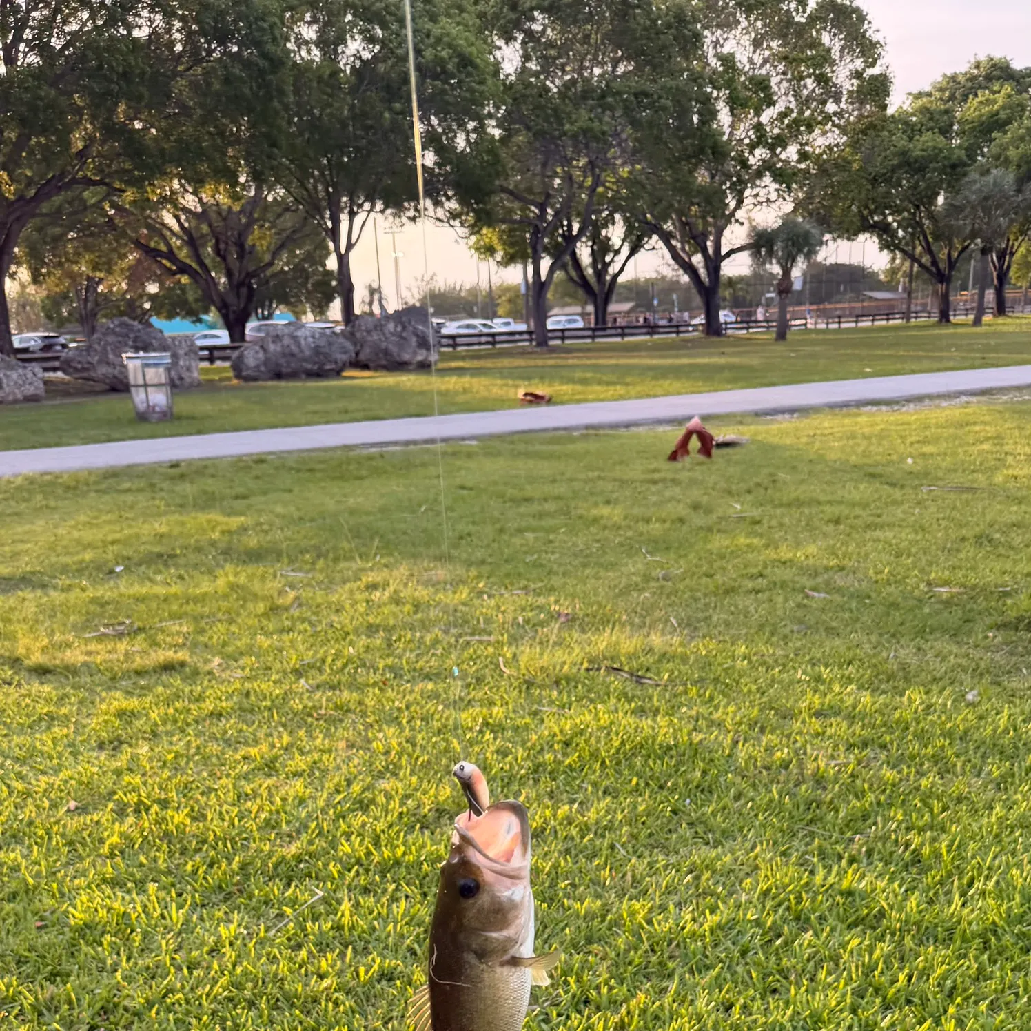 catch