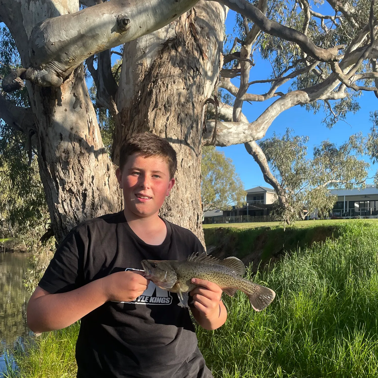 The most recent Trout cod catches on Fishbrain