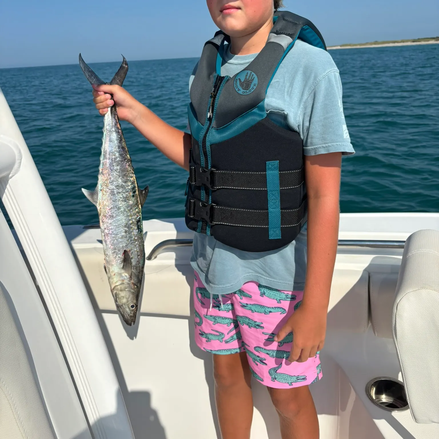 The most recent Spanish mackerel catches on Fishbrain