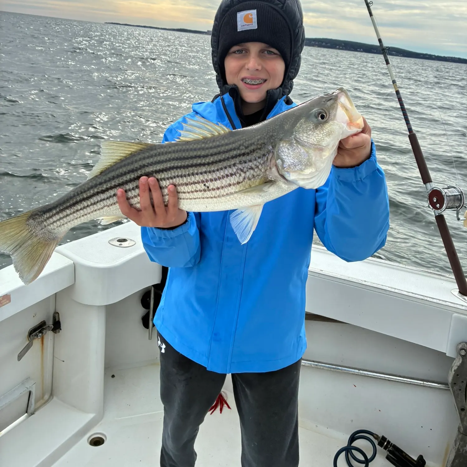 Striped bass caught on Fishbrain