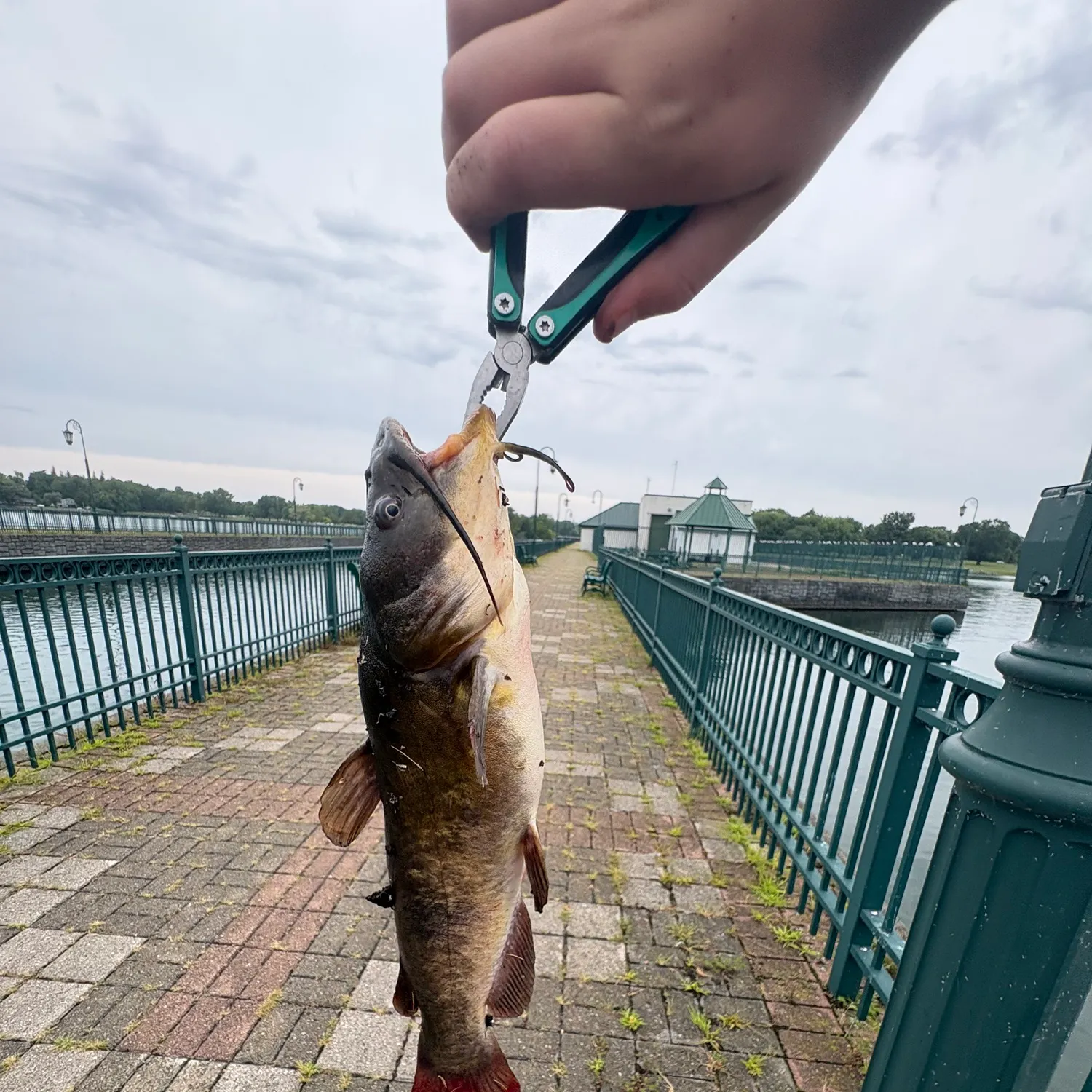 catch