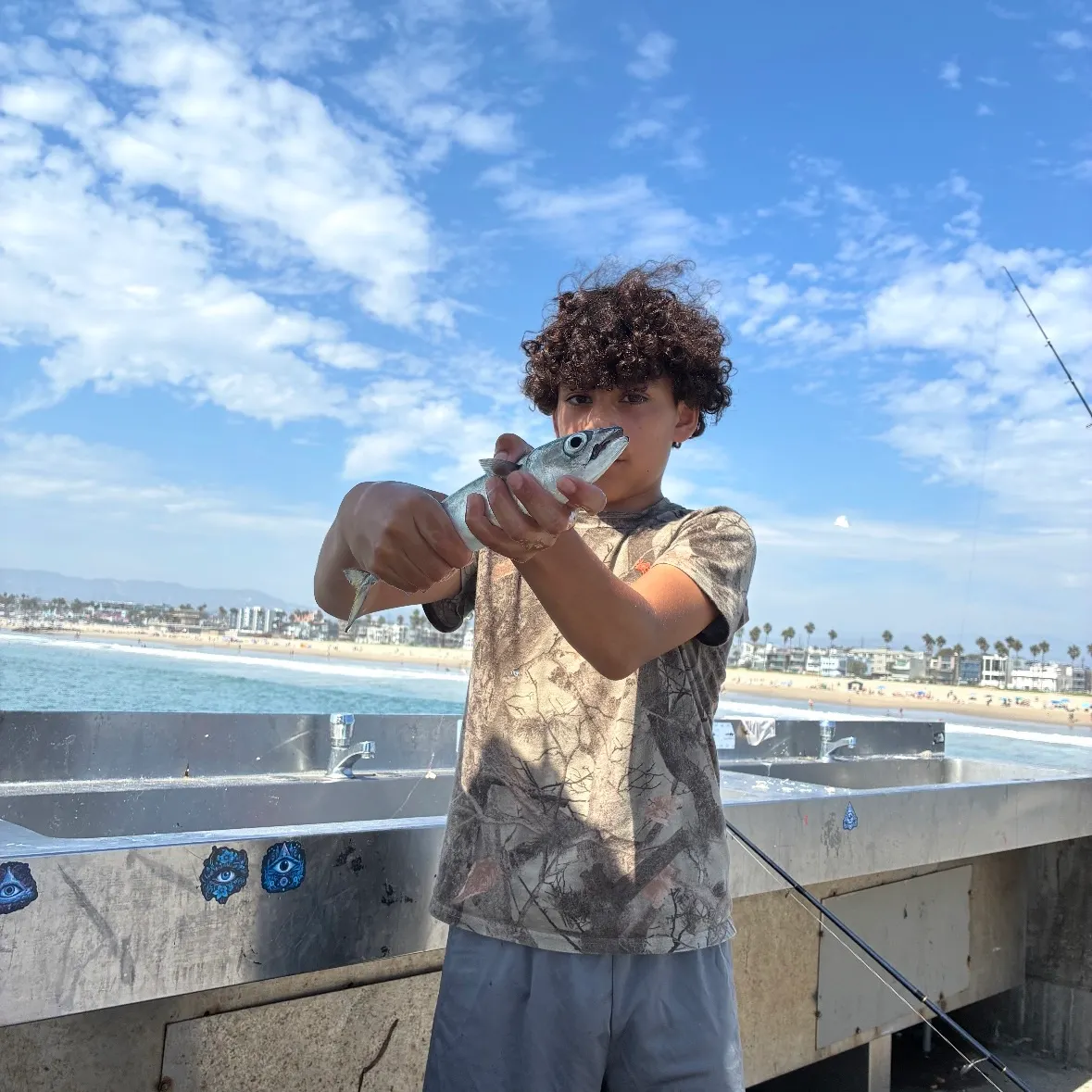 Pacific chub mackerel caught on Fishbrain
